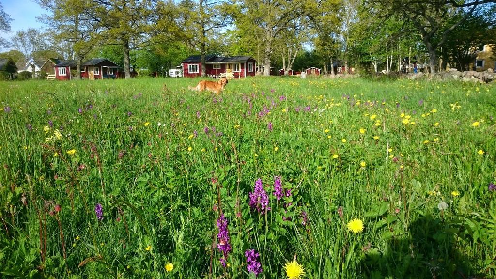 Löttorp Stf Hagaby/Lantgarden Hostel מראה חיצוני תמונה